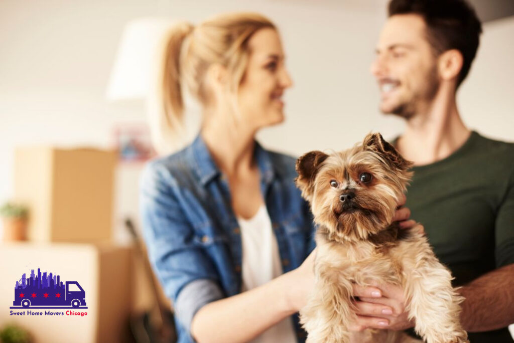 moving with pets in chicago